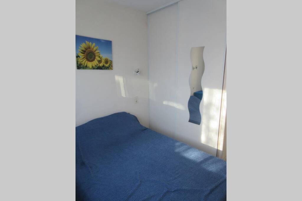 Apt Climatise T3 Saint Pierre La Mer, Terrasse, Jardin Et Parking Prive Fleury  Kültér fotó